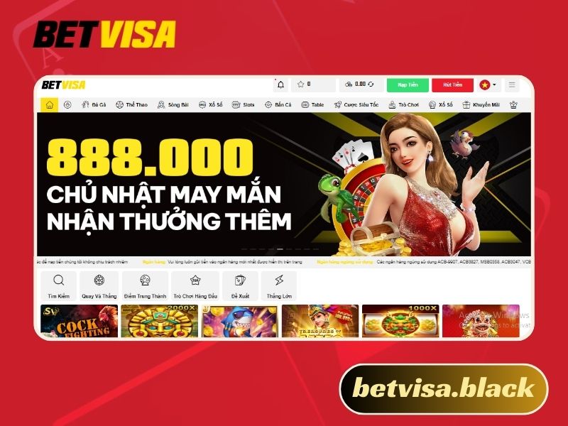Betvisa lừa đảo