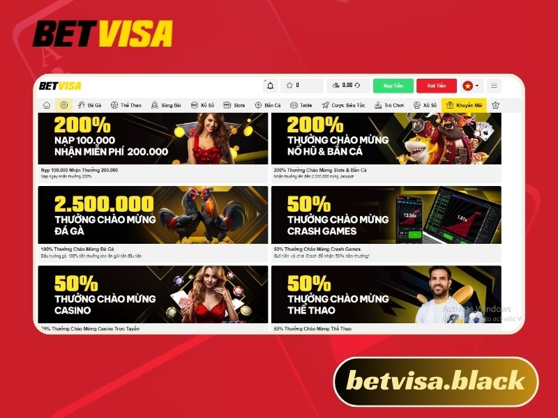 Betvisa lừa đảo