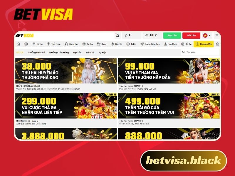 Đá gà Thomo hình thức giải trí cực hấp dẫn