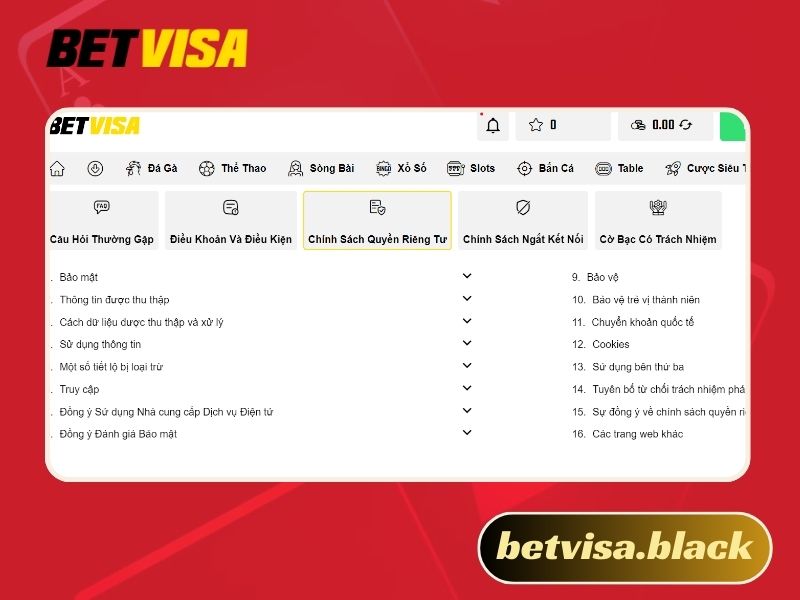 Chính sách bảo mật Betvisa