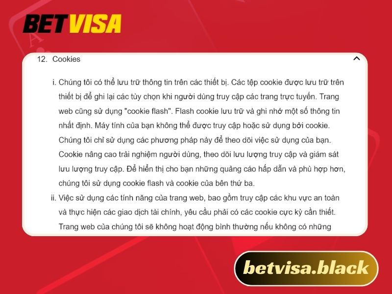 Chính sách bảo mật Betvisa